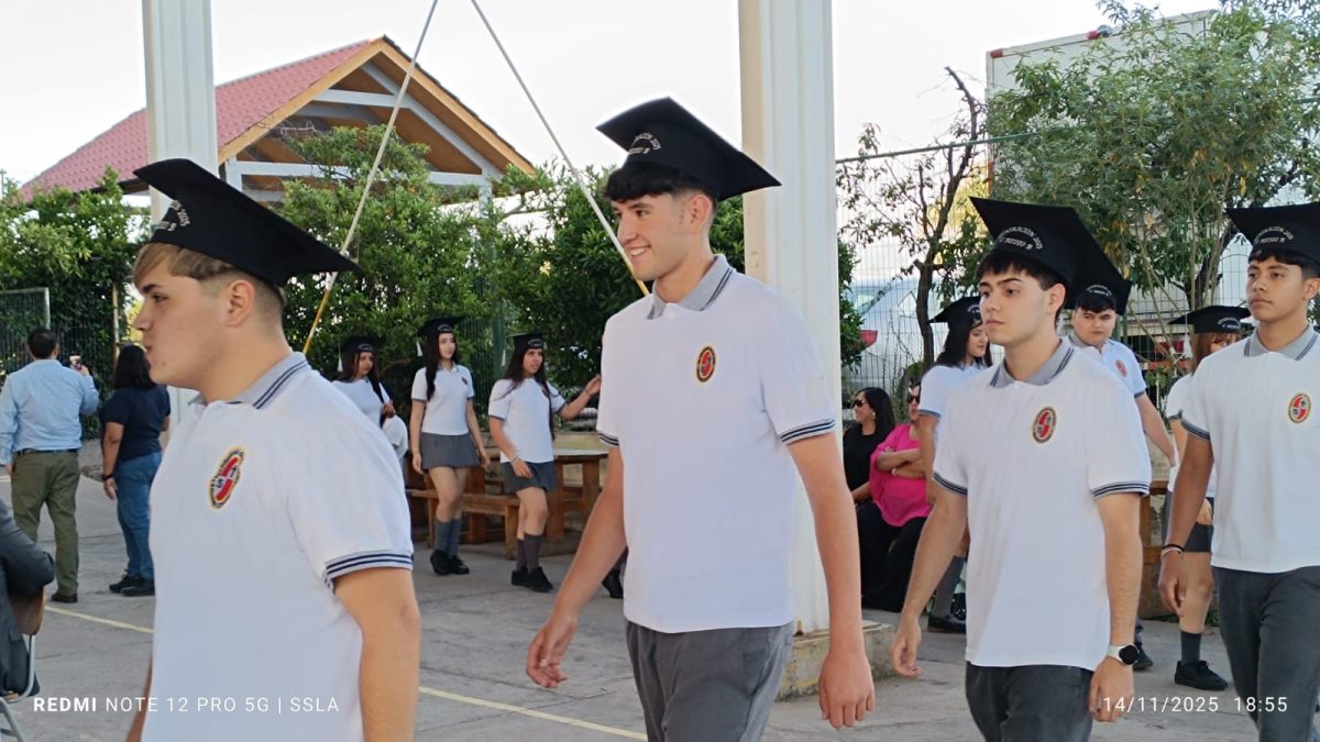 Licenciatura IV Medios