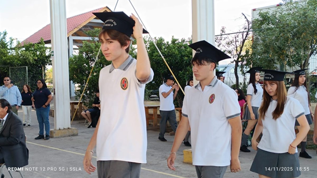 Licenciatura IV Medios