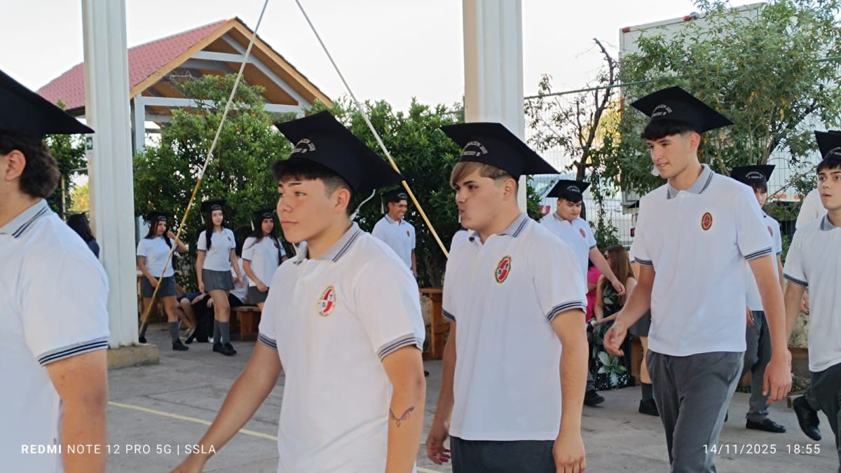 Licenciatura IV Medios