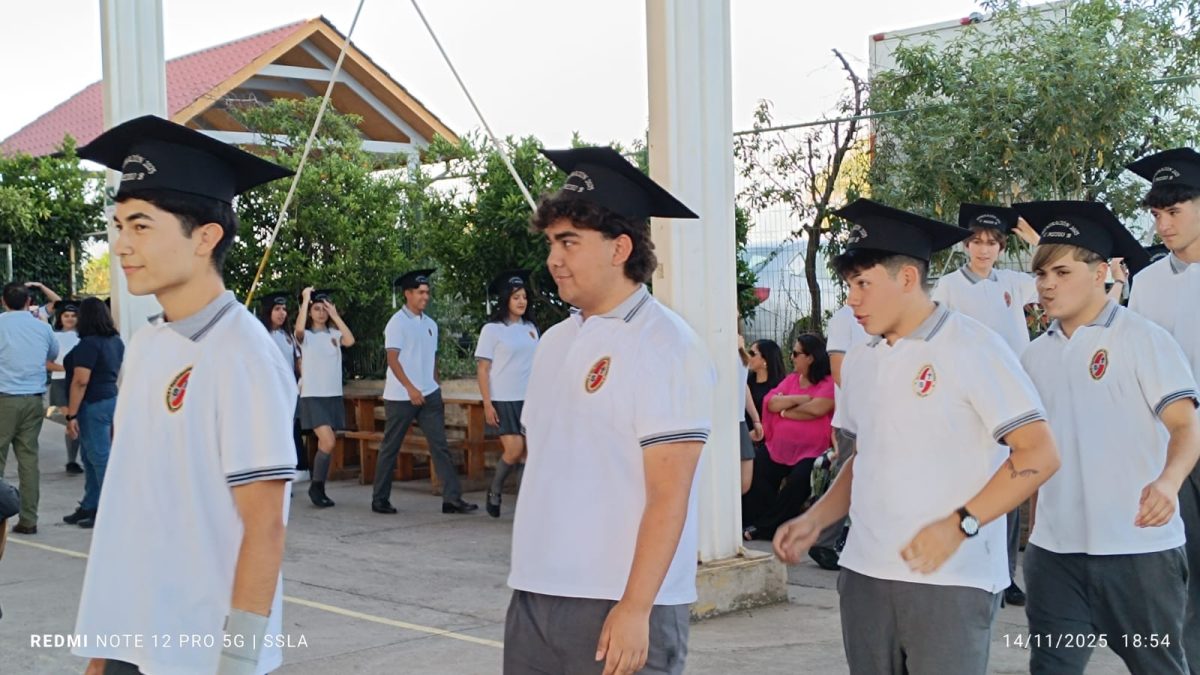 Licenciatura IV Medios