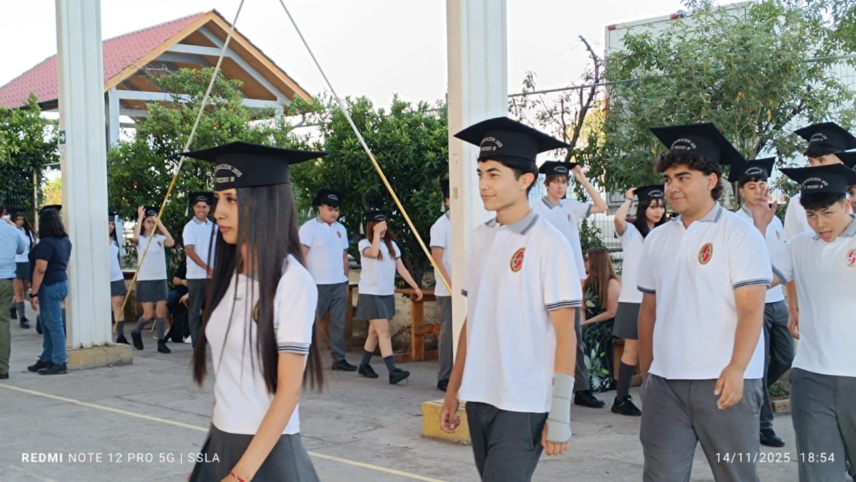 Licenciatura IV Medios