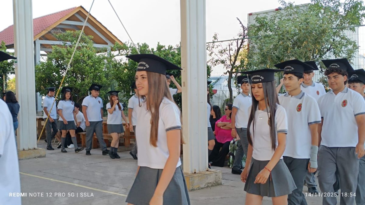 Licenciatura IV Medios