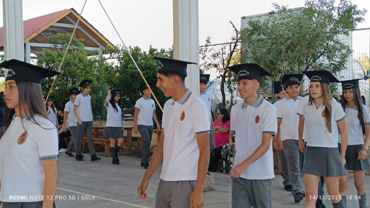 Licenciatura IV Medios