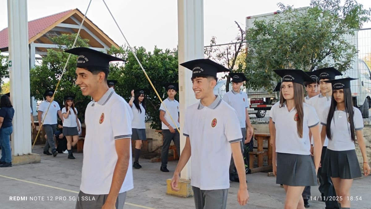 Licenciatura IV Medios