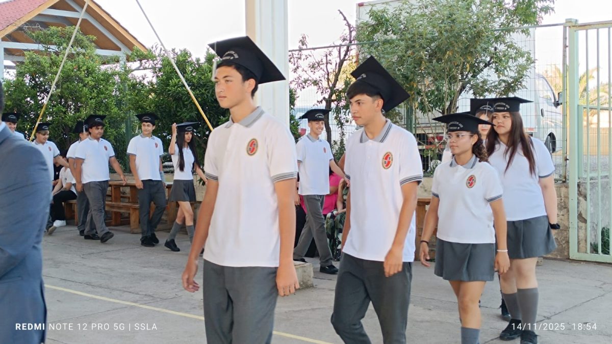 Licenciatura IV Medios