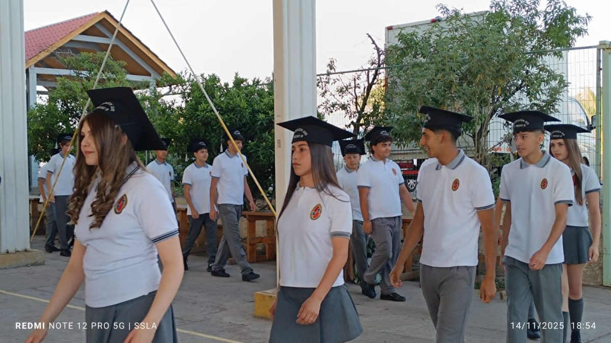 Licenciatura IV Medios