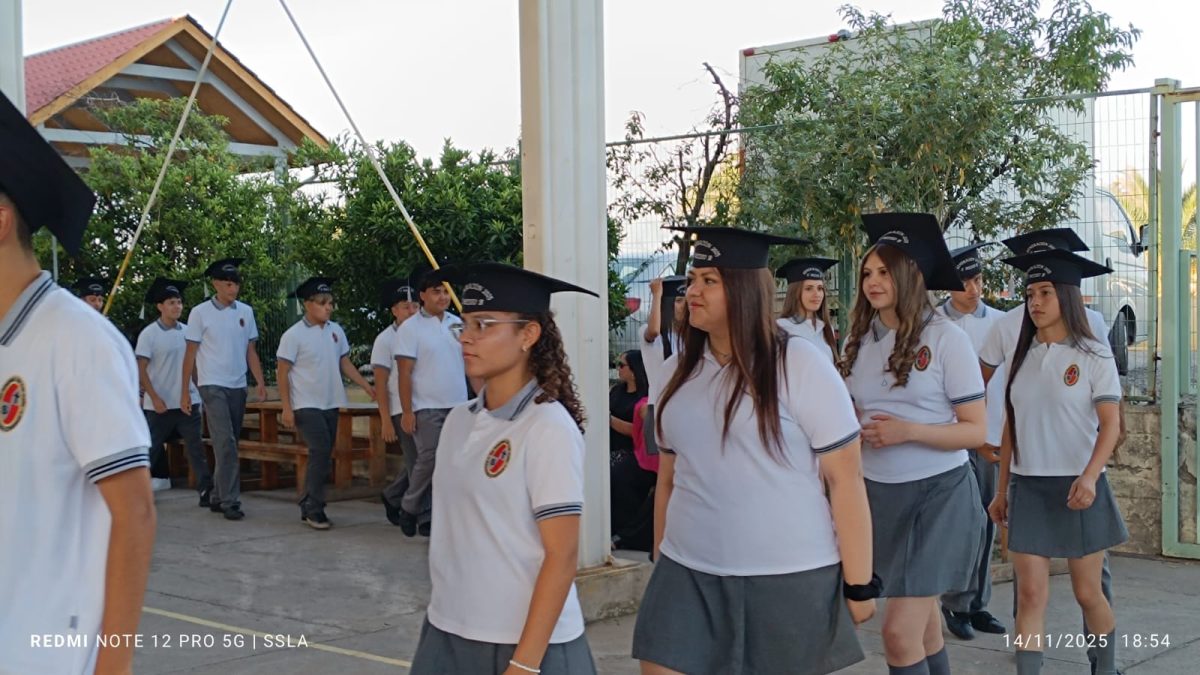 Licenciatura IV Medios