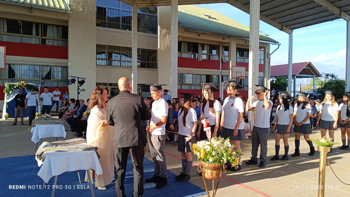 Licenciatura IV Medios