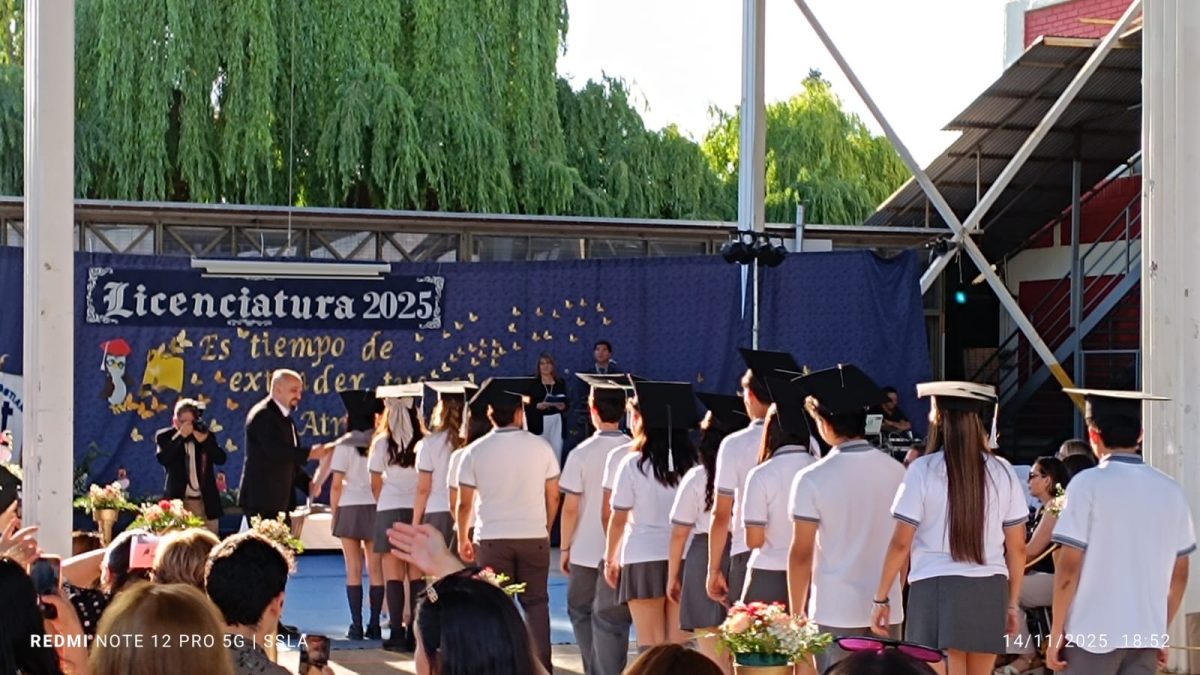 Licenciatura IV Medios