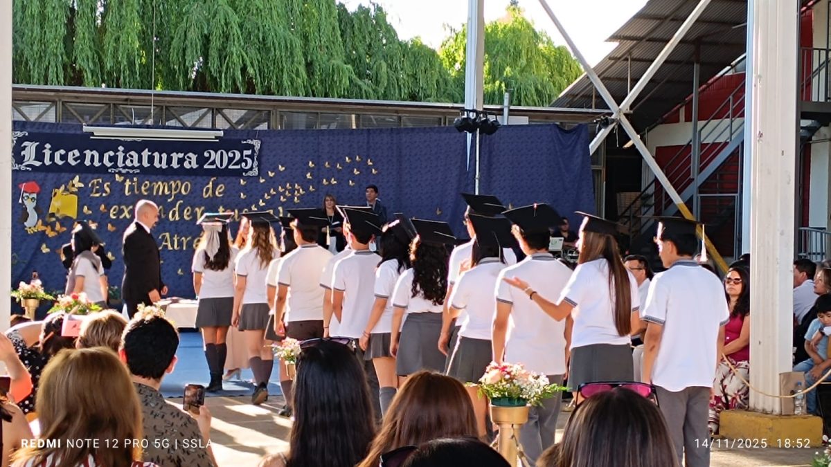 Licenciatura IV Medios