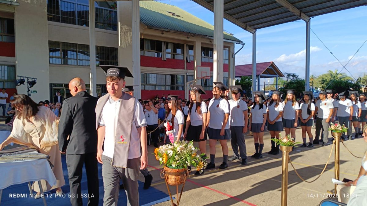 Licenciatura IV Medios