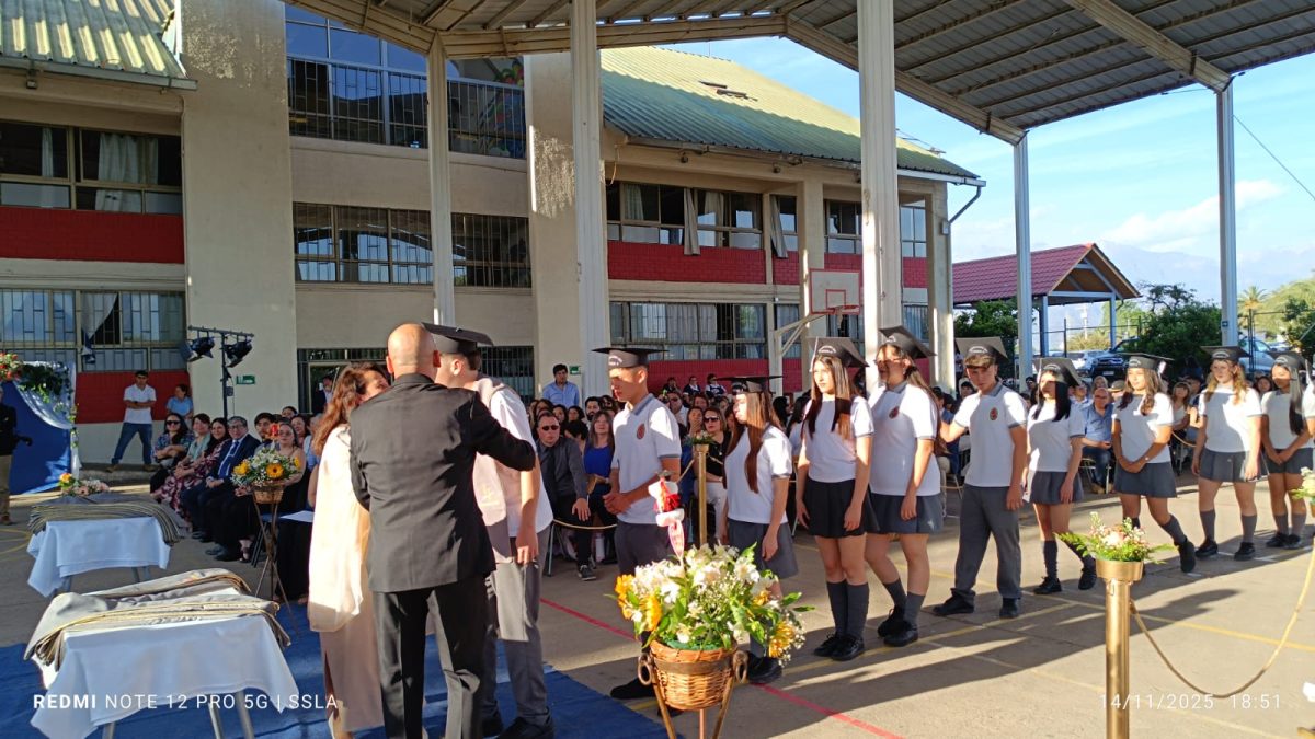 Licenciatura IV Medios