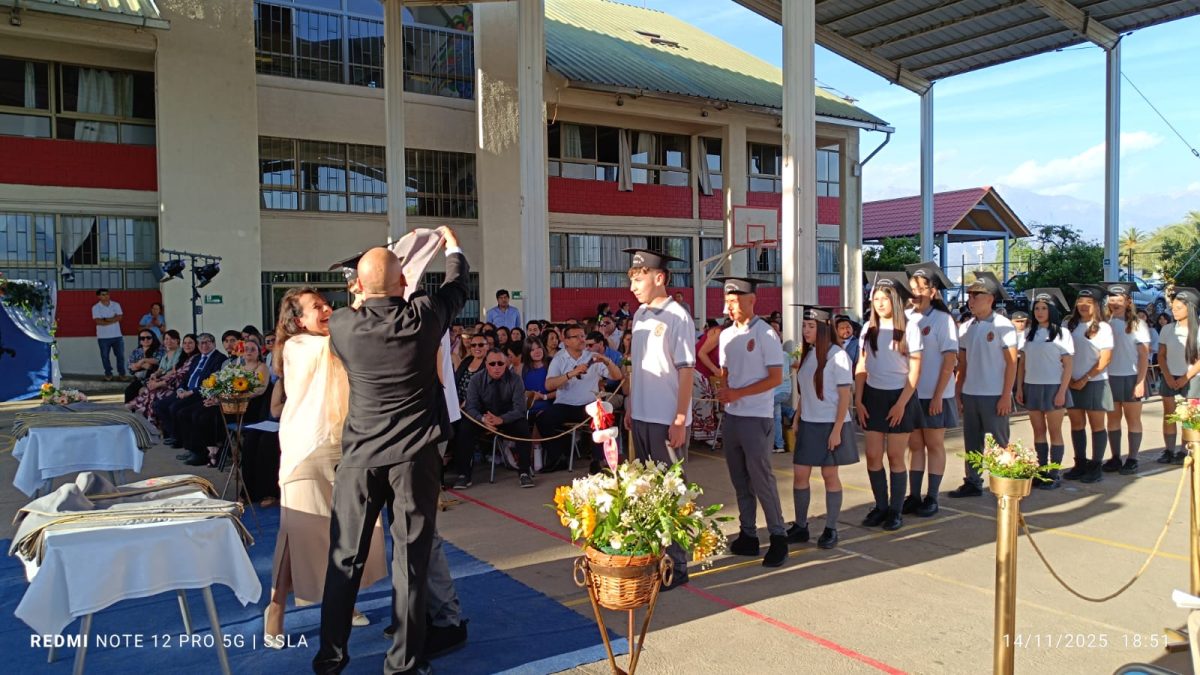 Licenciatura IV Medios