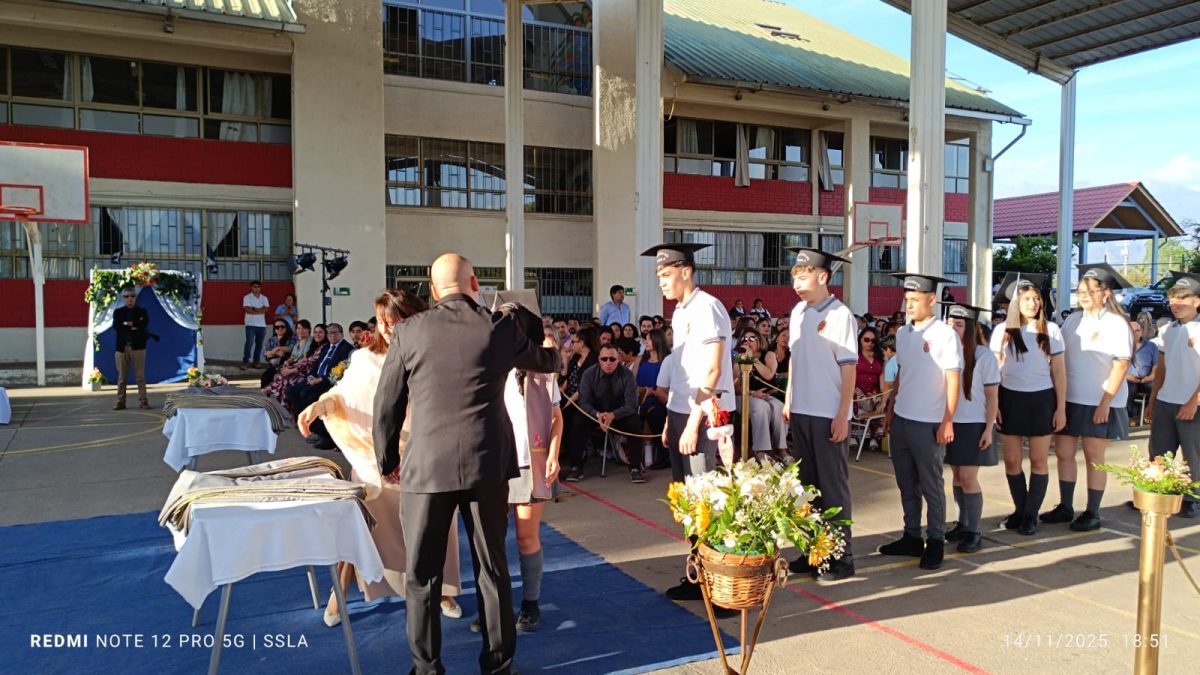 Licenciatura IV Medios