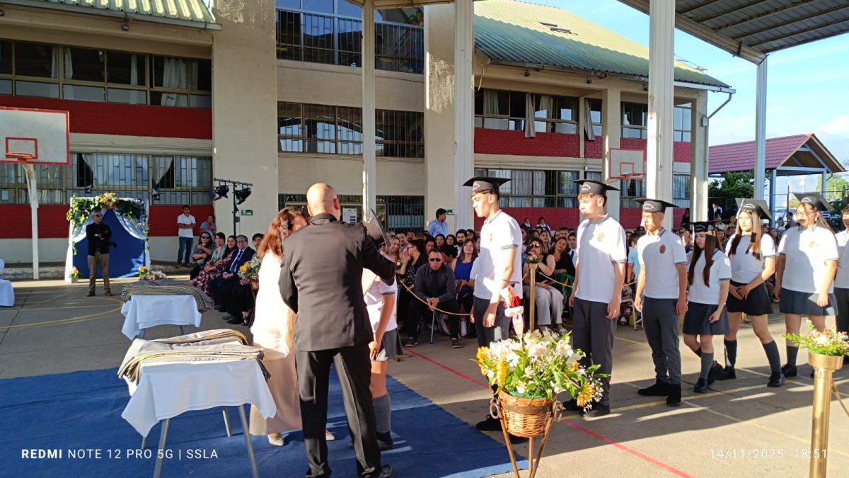 Licenciatura IV Medios