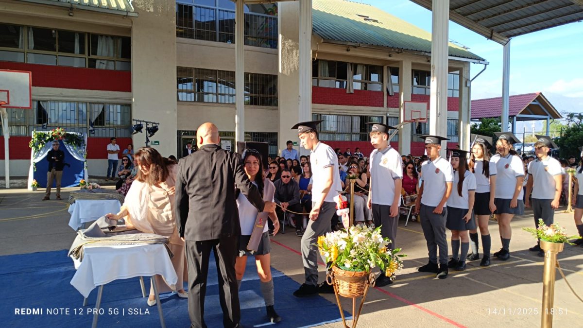 Licenciatura IV Medios