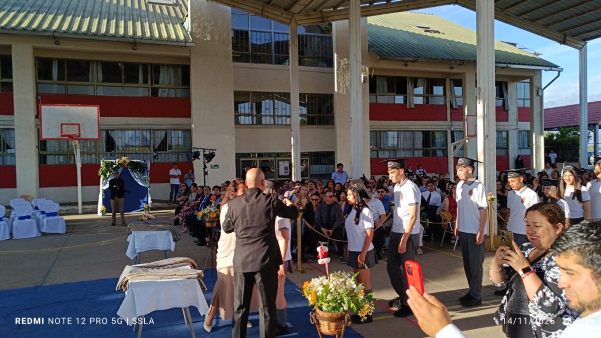 Licenciatura IV Medios