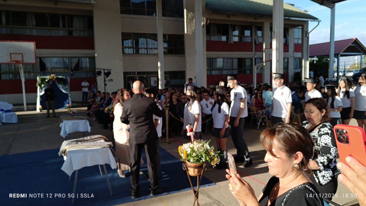 Licenciatura IV Medios