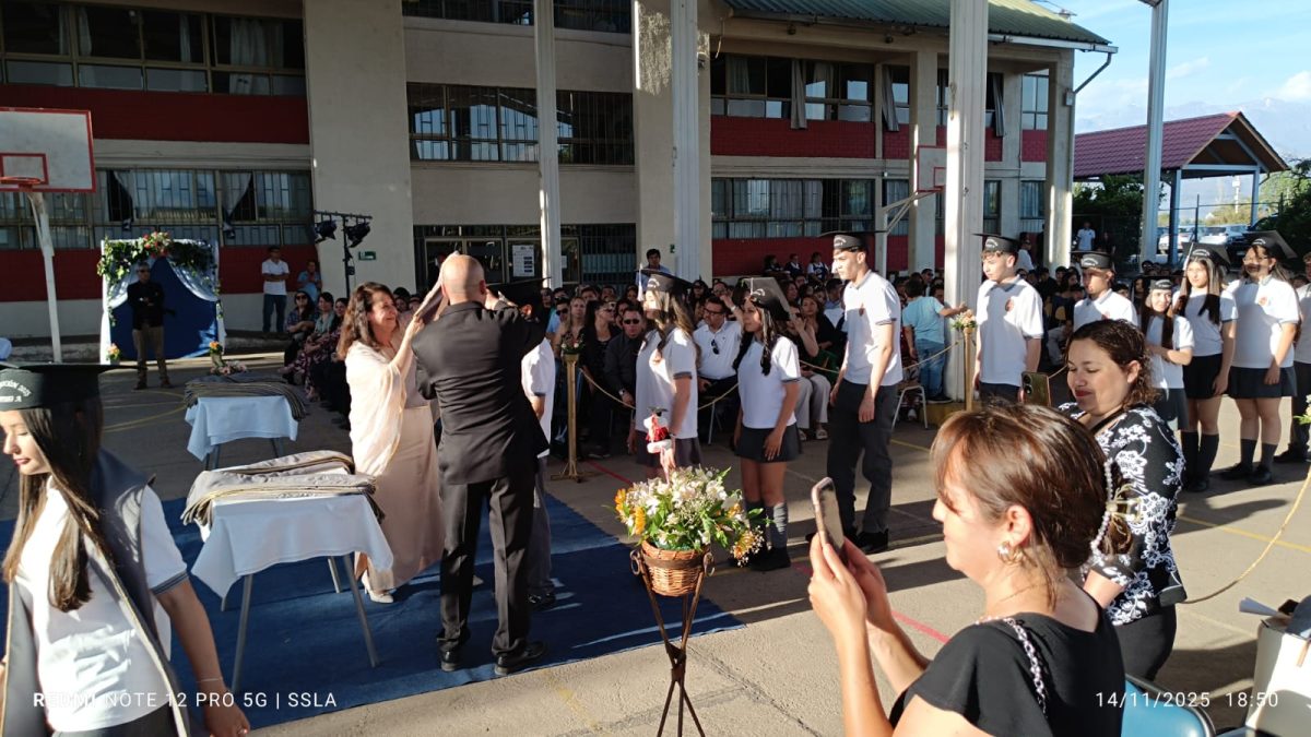 Licenciatura IV Medios