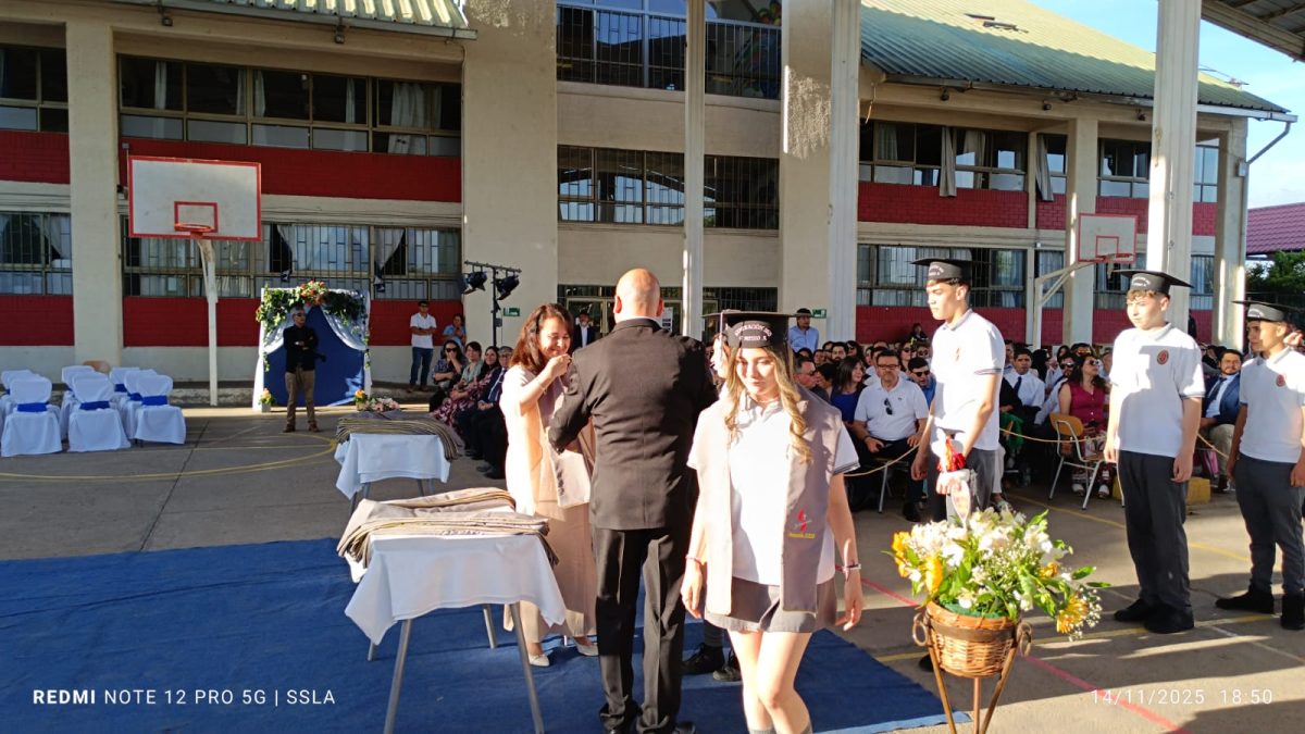 Licenciatura IV Medios