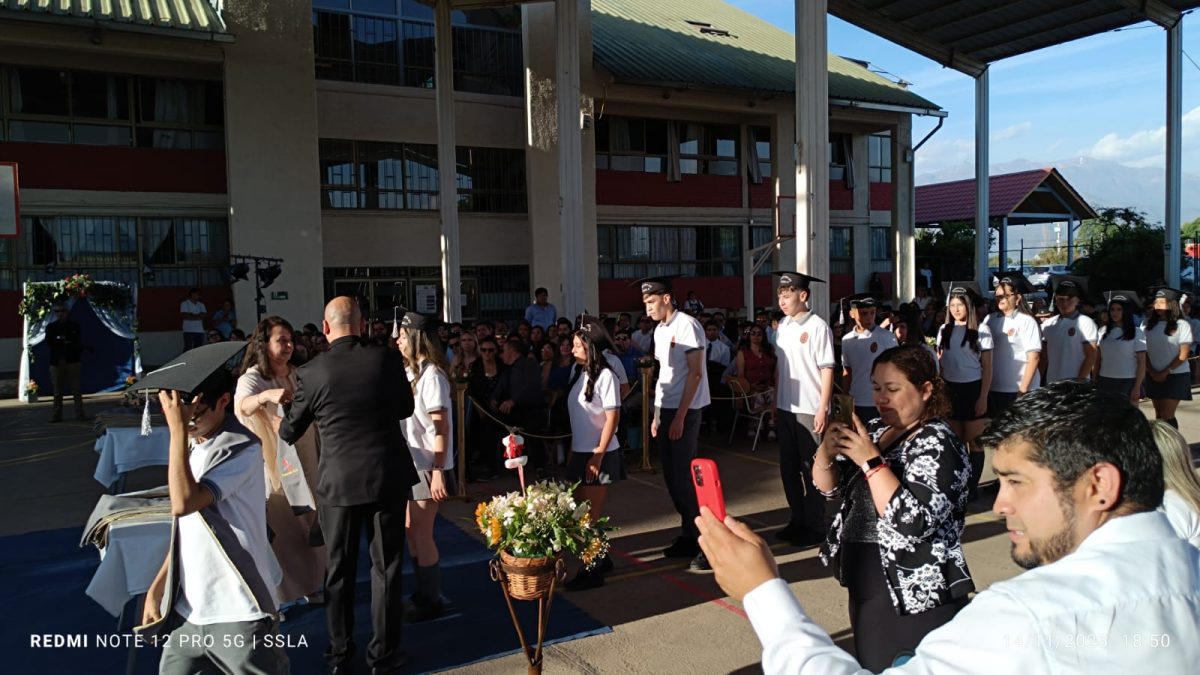 Licenciatura IV Medios