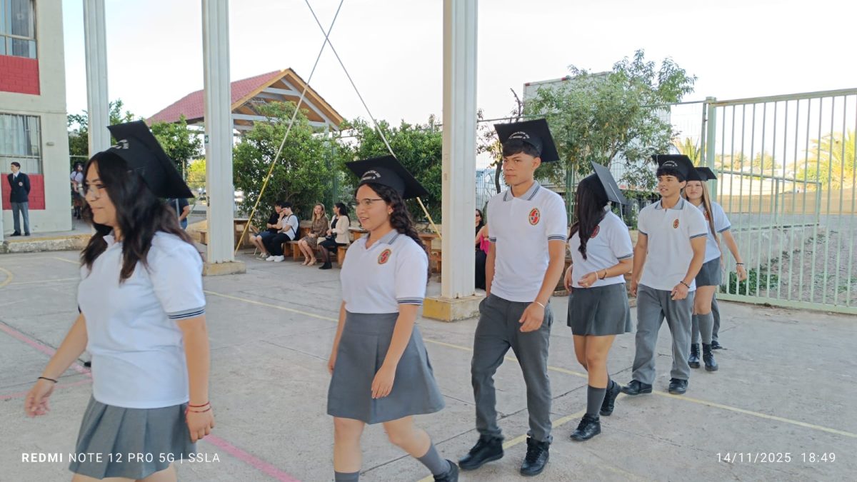 Licenciatura IV Medios