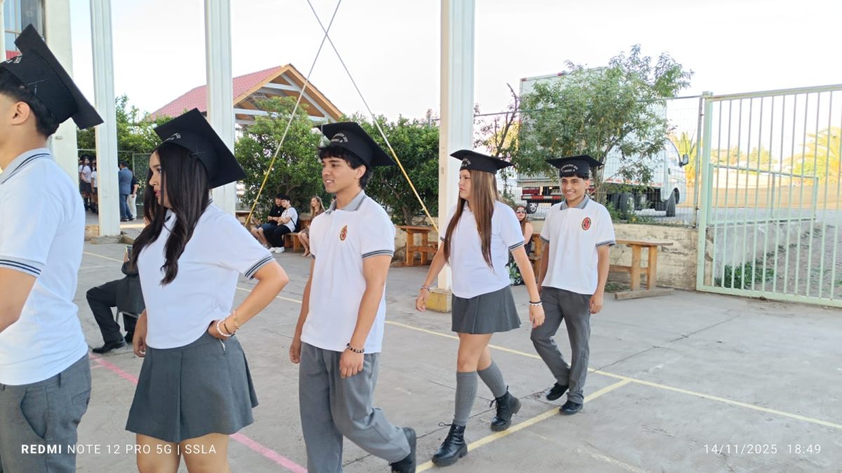 Licenciatura IV Medios