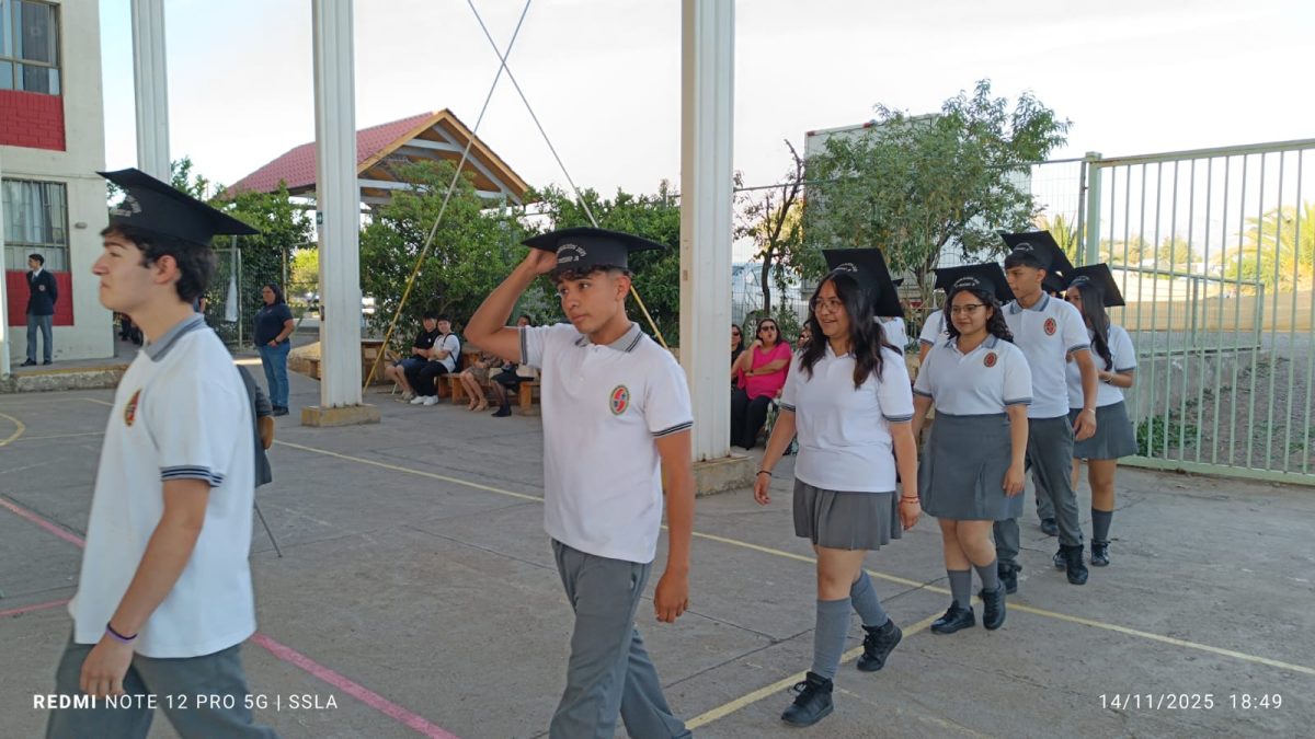 Licenciatura IV Medios