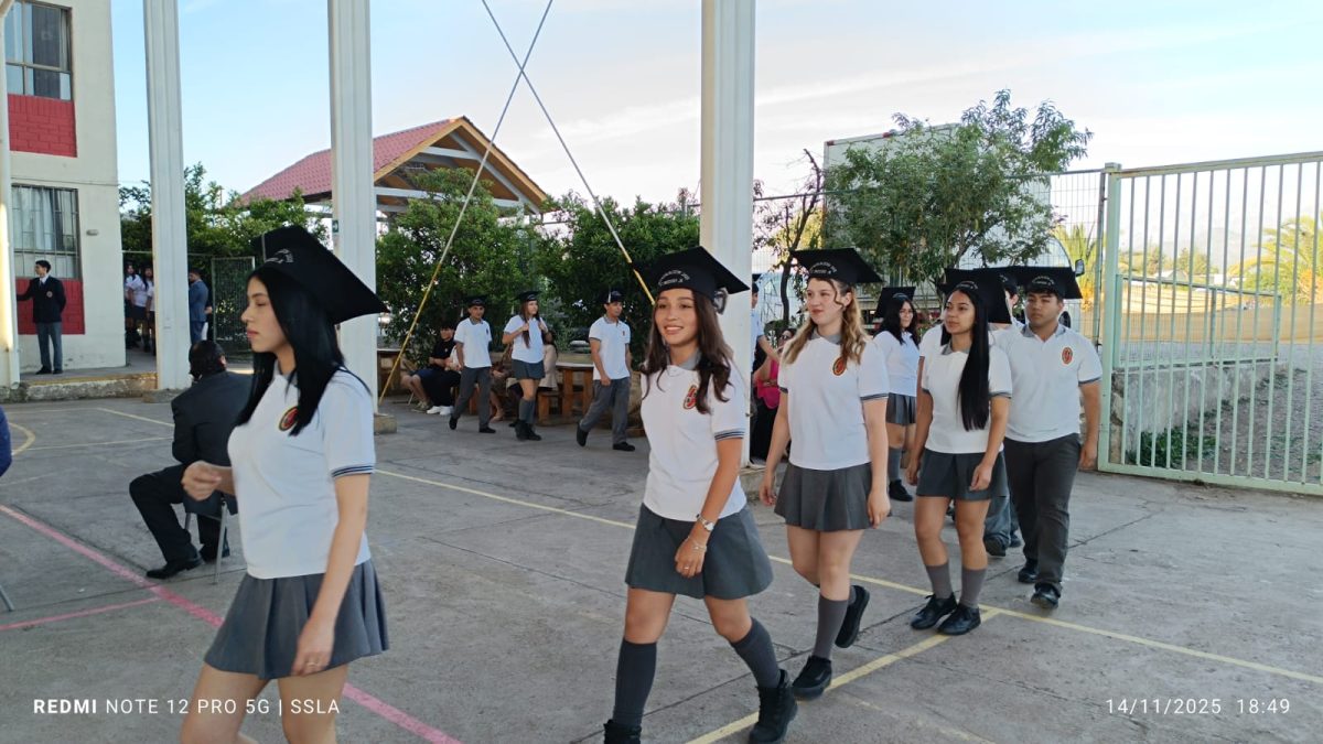 Licenciatura IV Medios