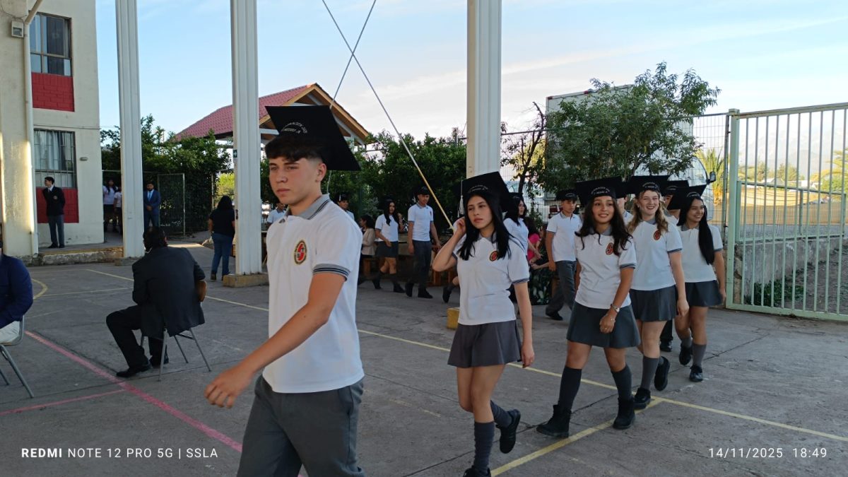 Licenciatura IV Medios