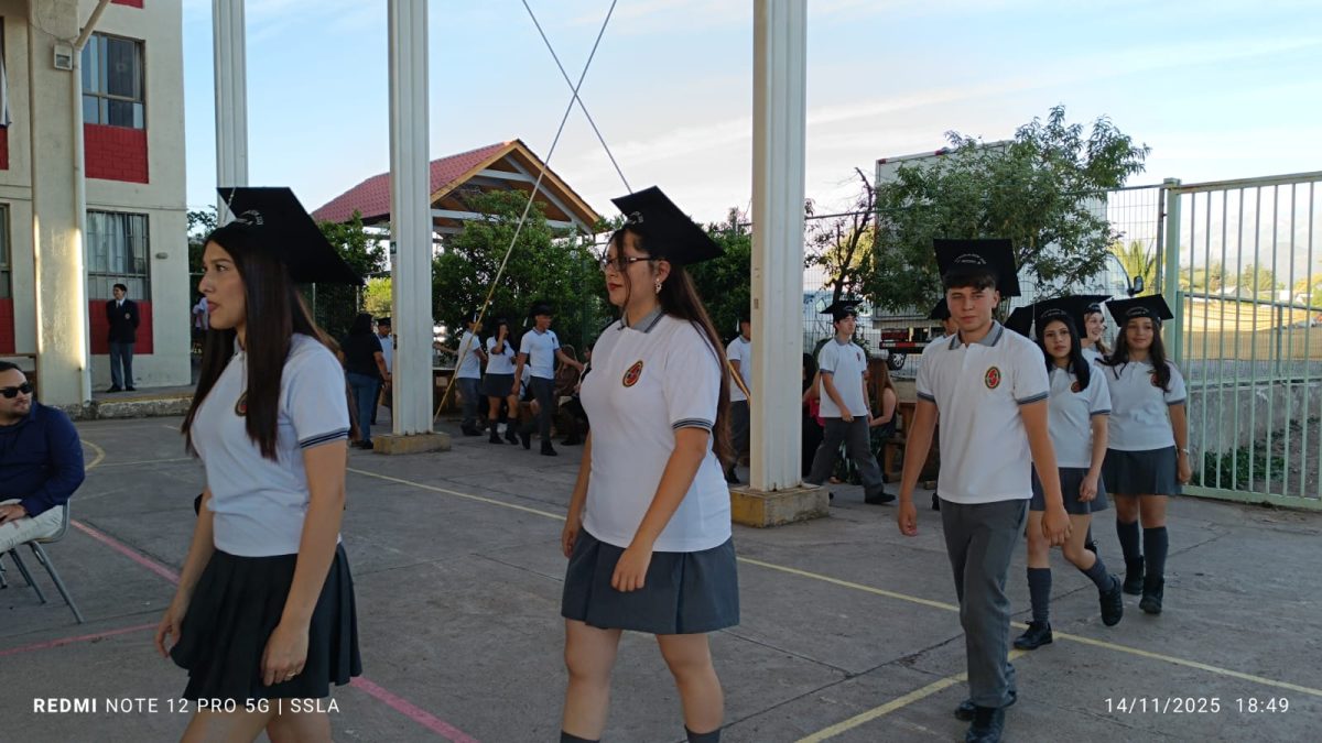 Licenciatura IV Medios