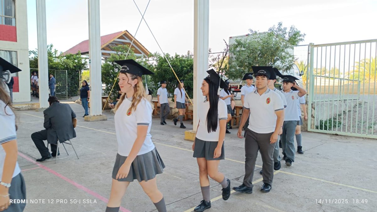 Licenciatura IV Medios