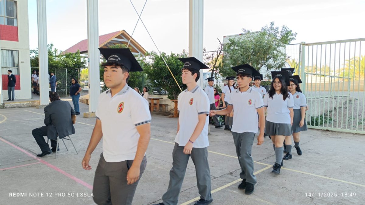 Licenciatura IV Medios