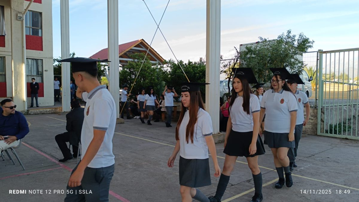 Licenciatura IV Medios