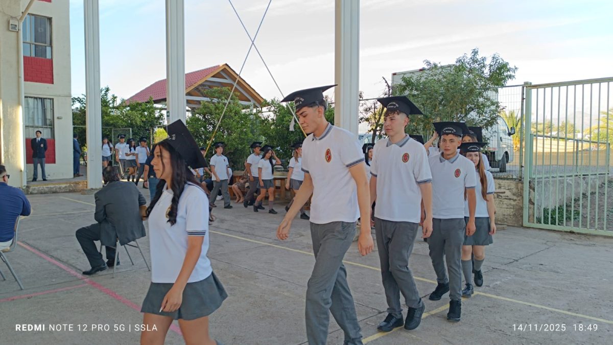 Licenciatura IV Medios