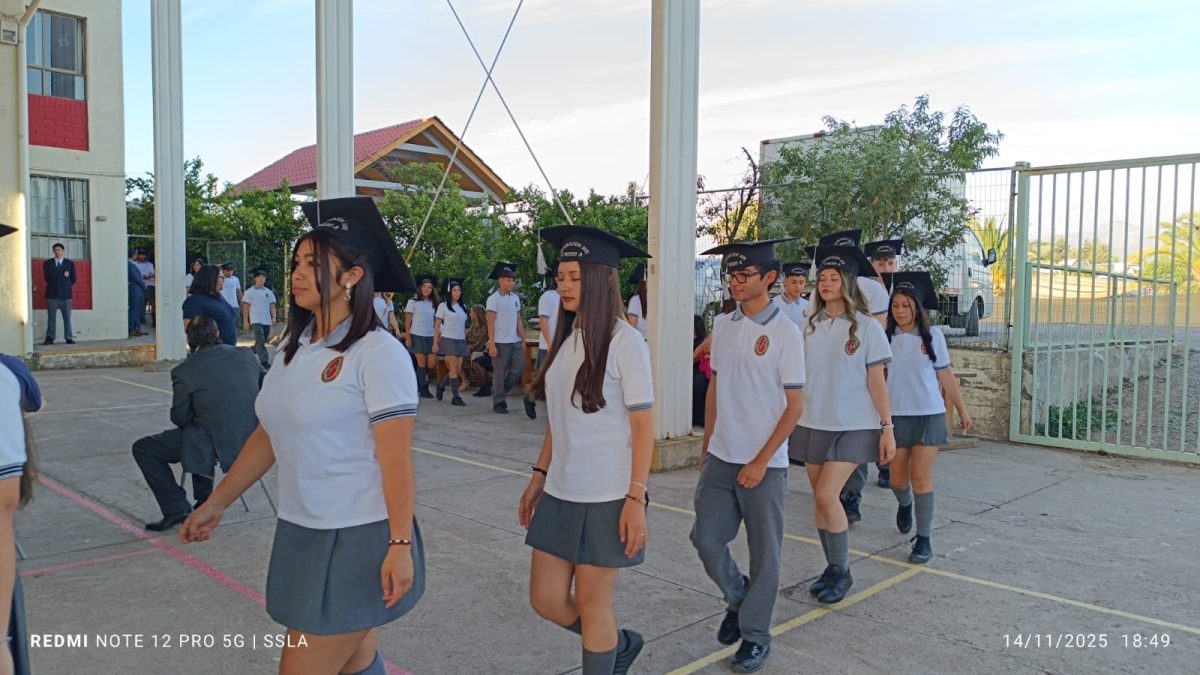 Licenciatura IV Medios