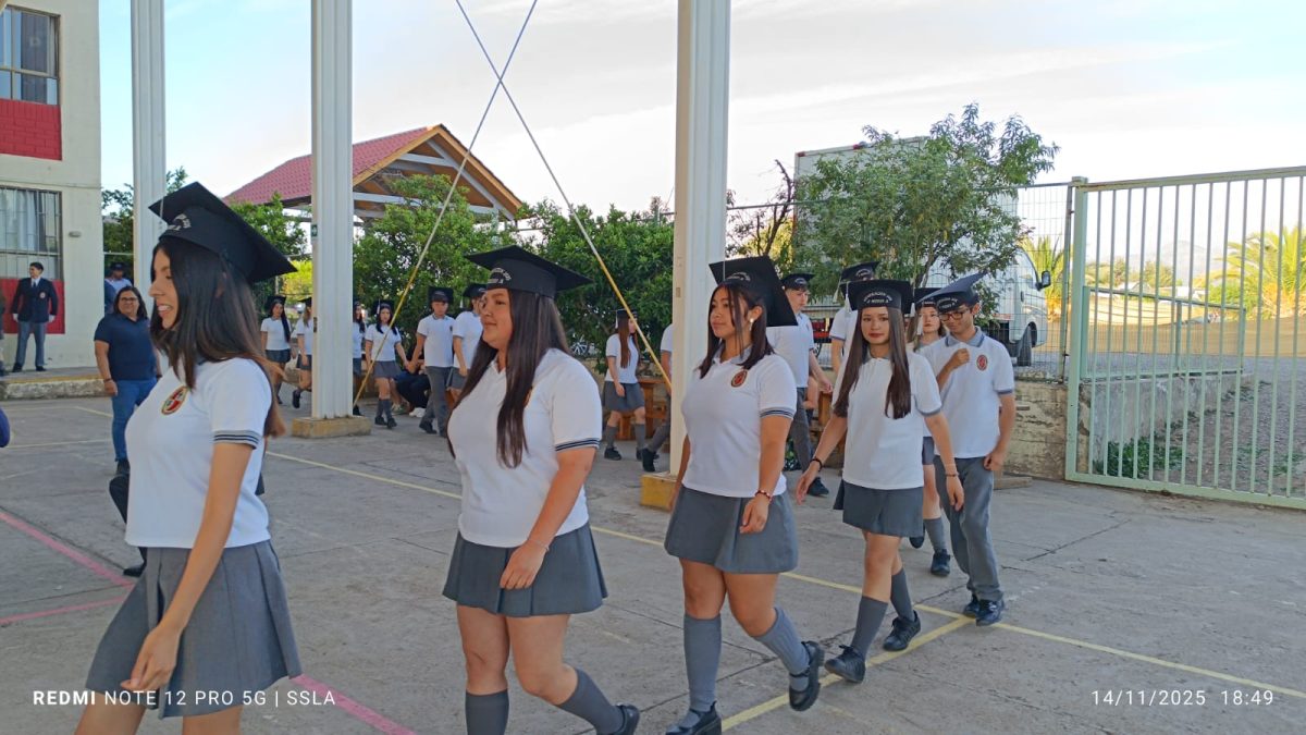 Licenciatura IV Medios