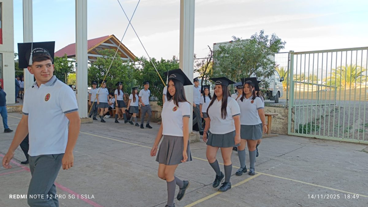 Licenciatura IV Medios