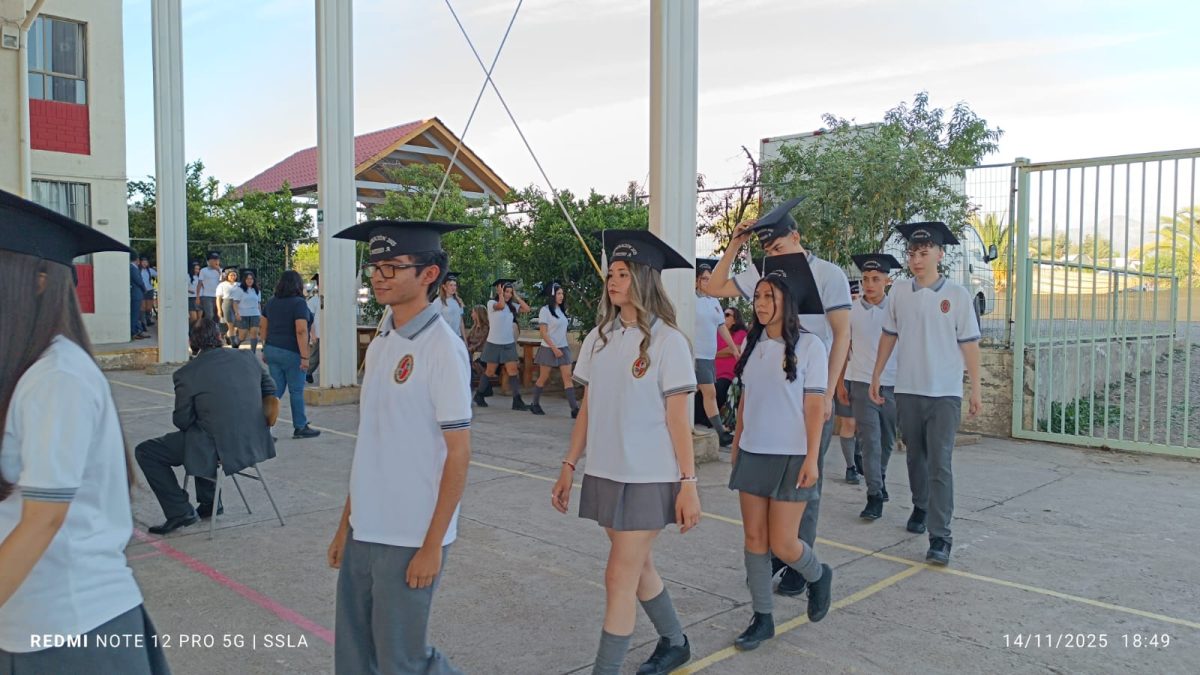 Licenciatura IV Medios