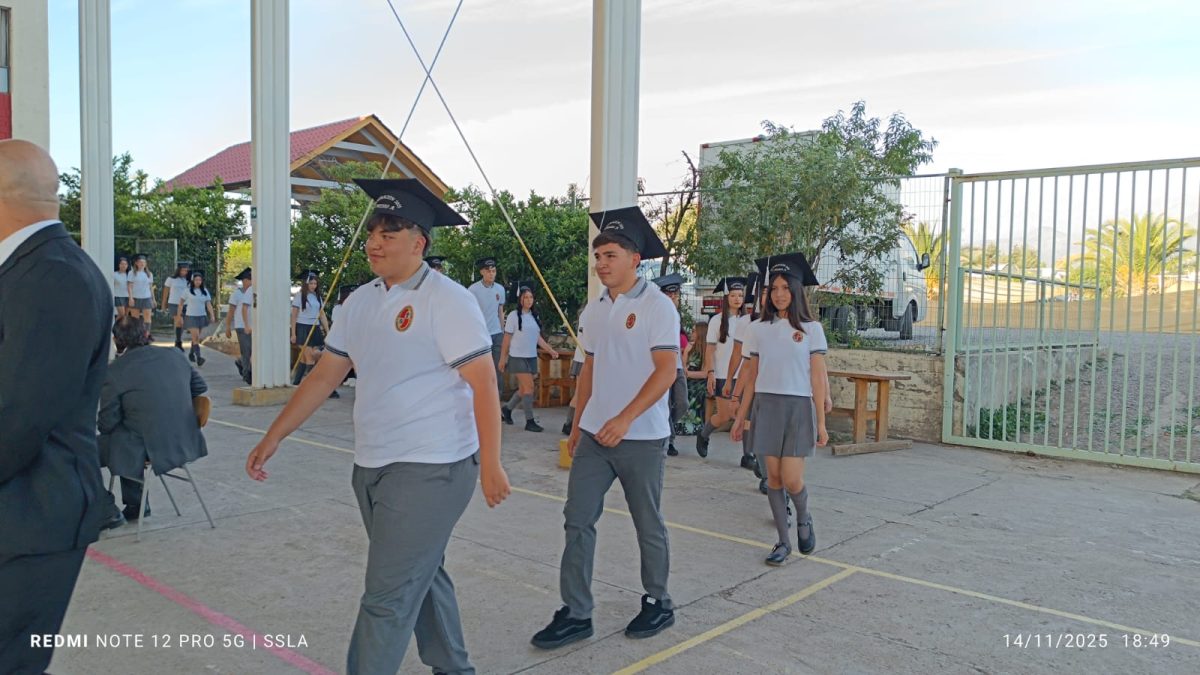 Licenciatura IV Medios