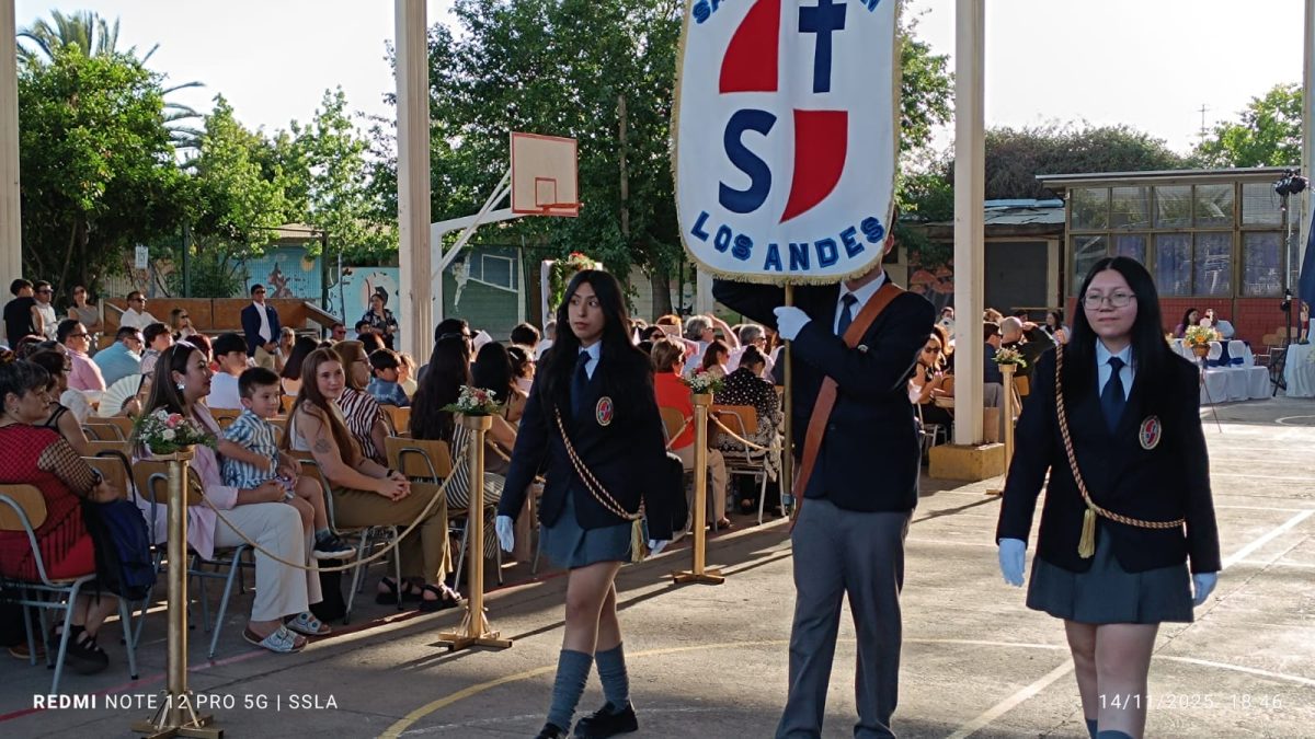 Licenciatura IV Medios