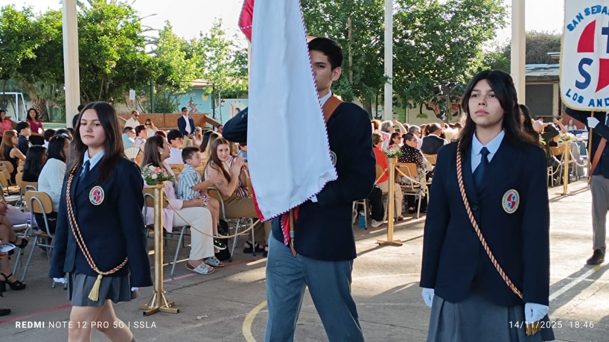 Licenciatura IV Medios