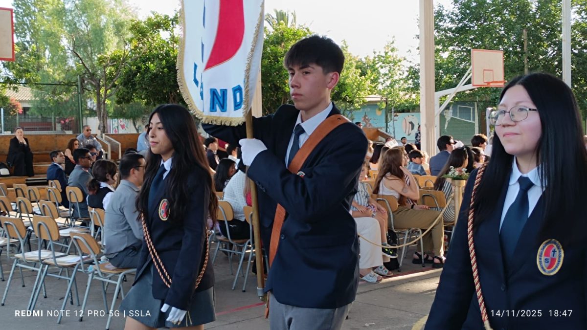 Licenciatura IV Medios