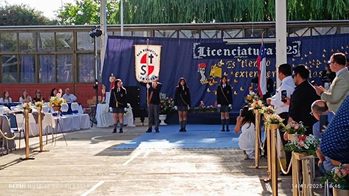 Licenciatura IV Medios