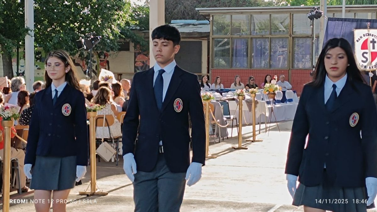 Licenciatura IV Medios