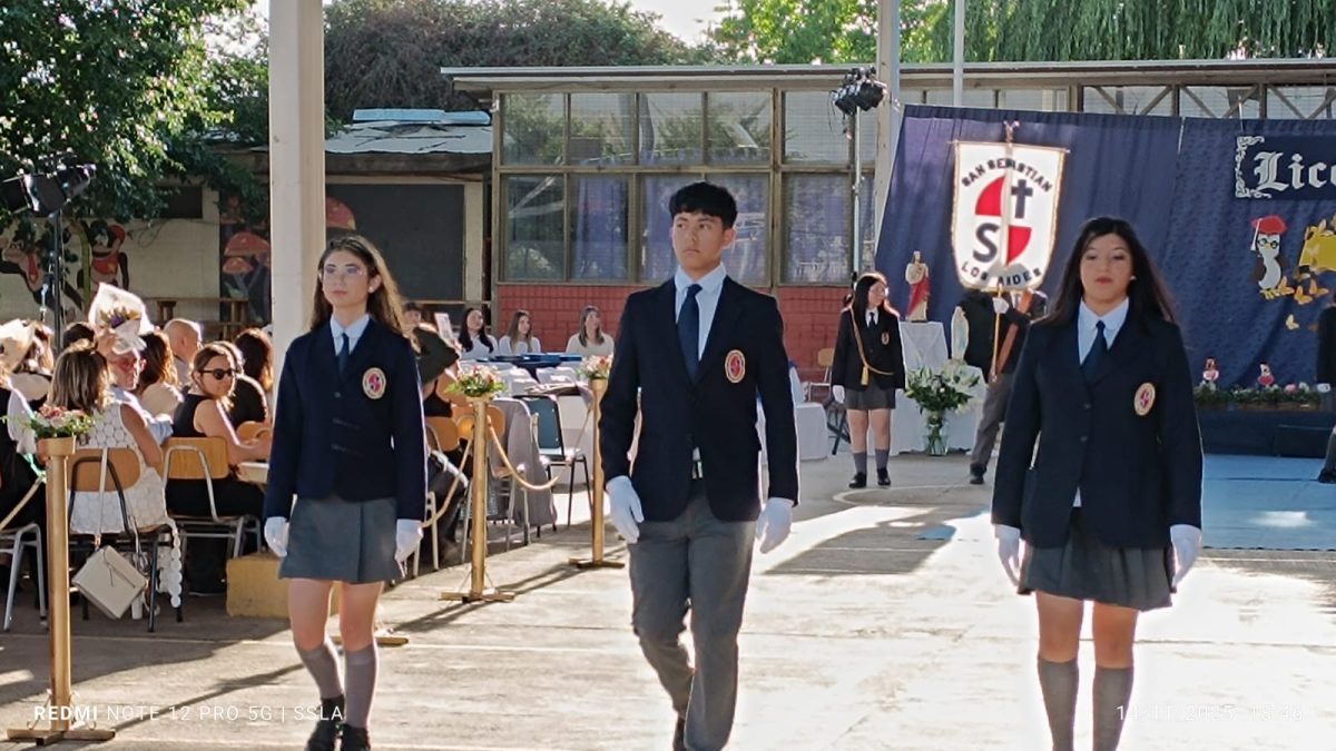 Licenciatura IV Medios