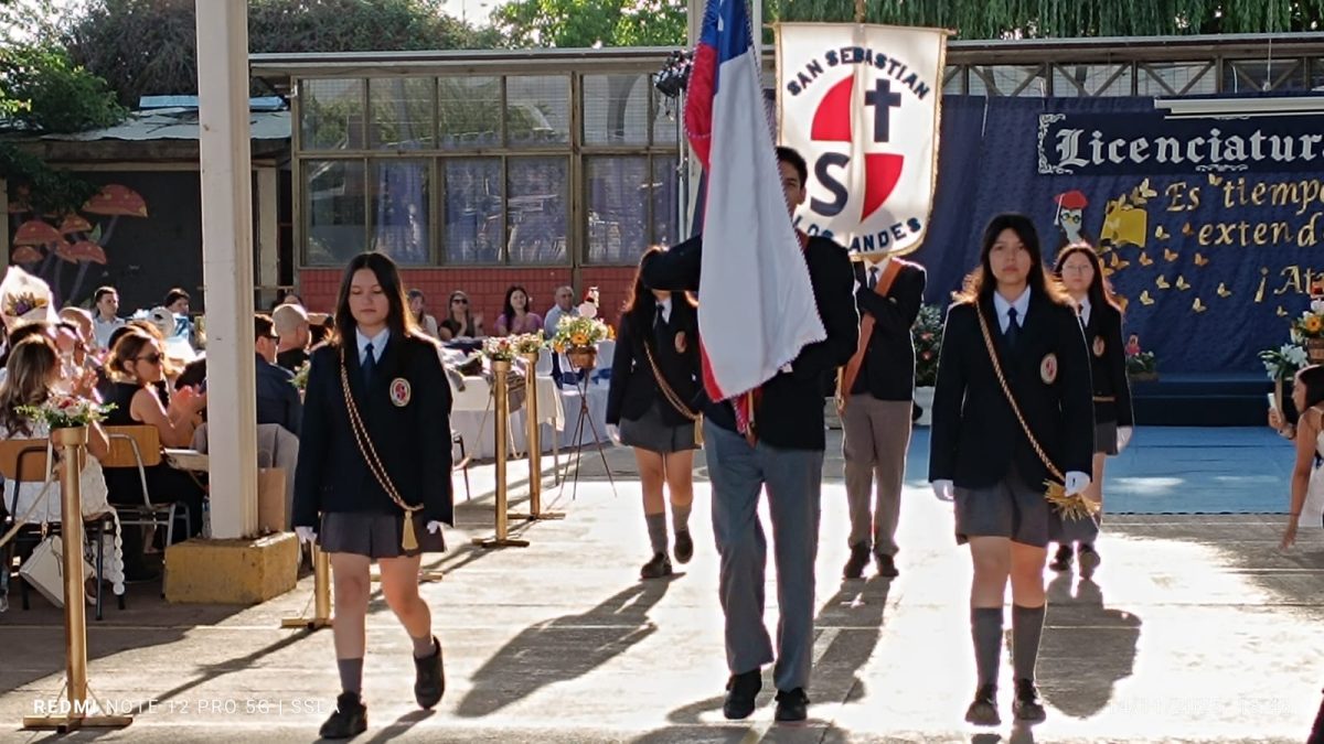 Licenciatura IV Medios