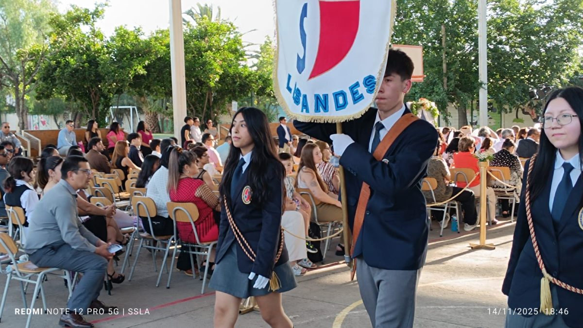 Licenciatura IV Medios