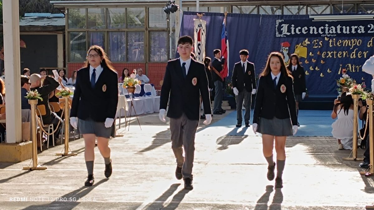 Licenciatura IV Medios