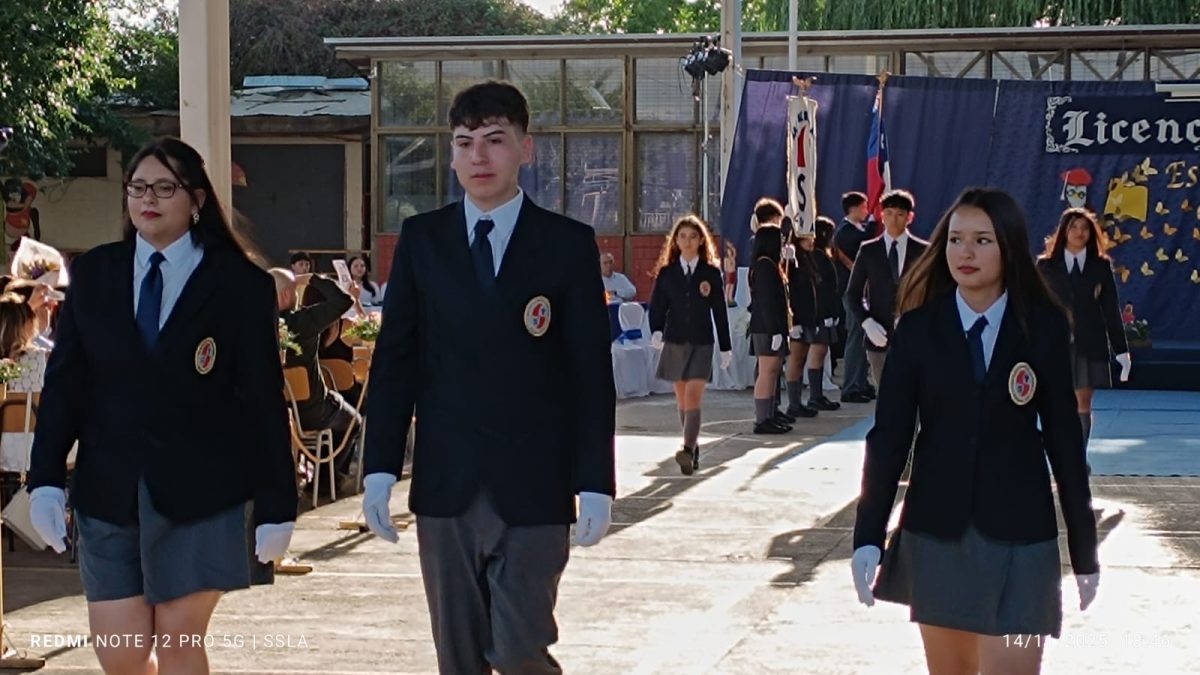 Licenciatura IV Medios